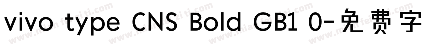vivo type CNS Bold GB1 0字体转换